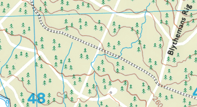 excerpt from the Ordnance Survey 1:25,000 map showing the 'coniferous tree' symbols, forestry track and fire breaks.