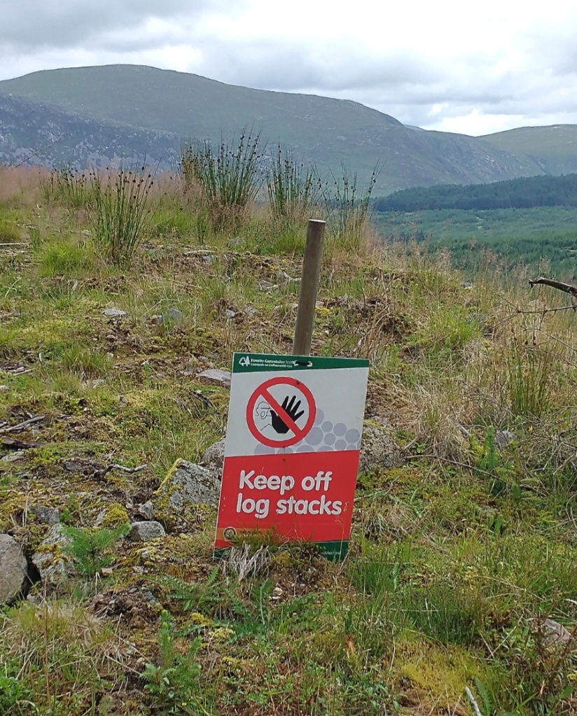 'Keep off log stacks' sign