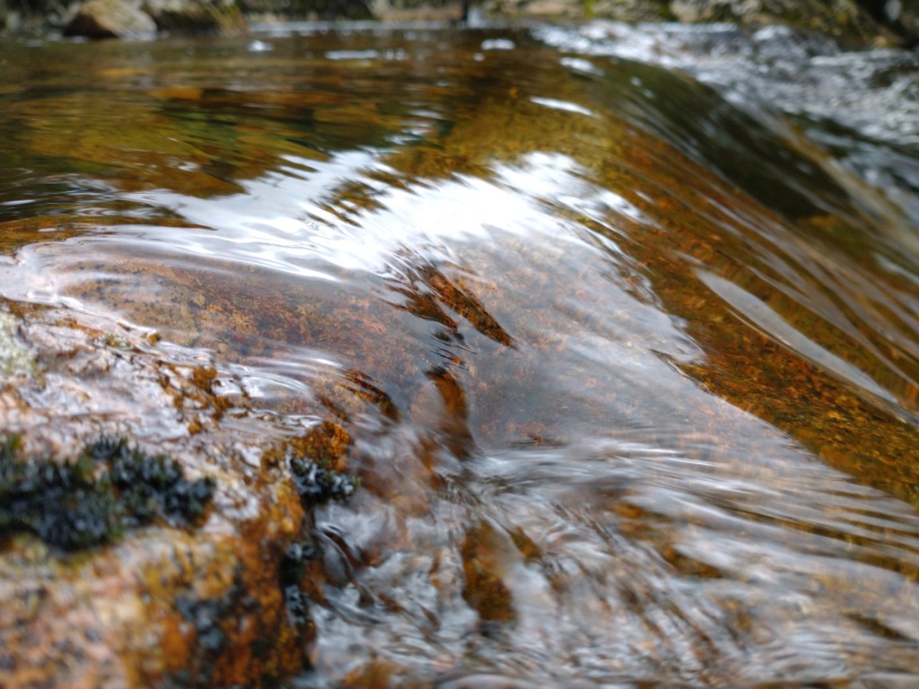 low level view of light on the surface of running water